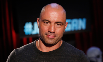 joe rogan quotes