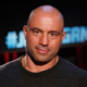 joe rogan quotes