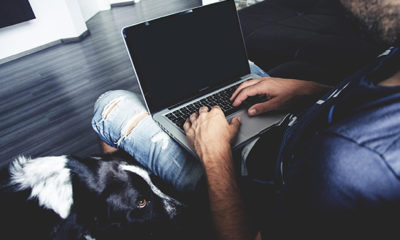 productive entrepreneurs