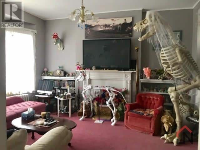 a living room with garish red carpet and various animal skeletons in it