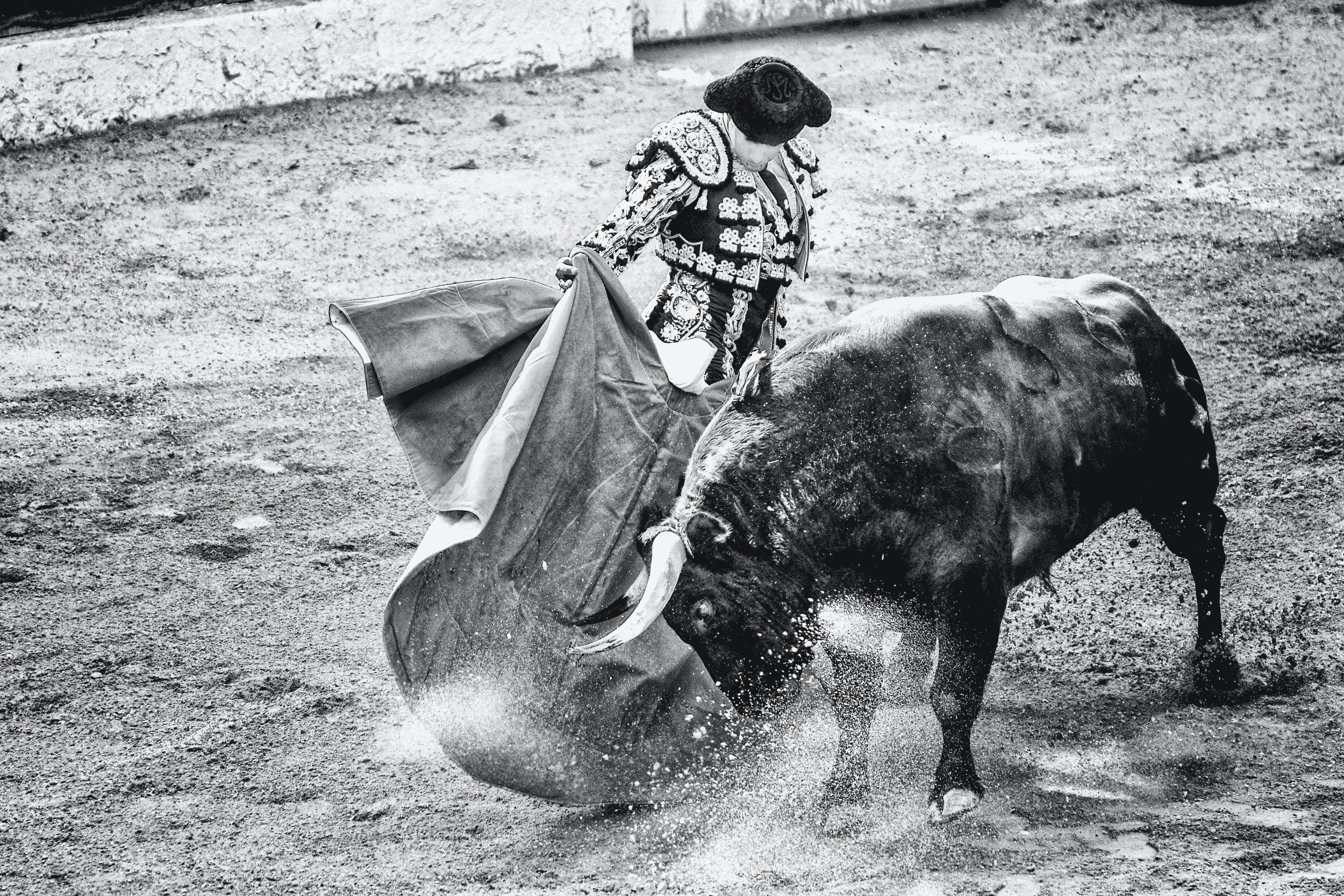 Bullfighting