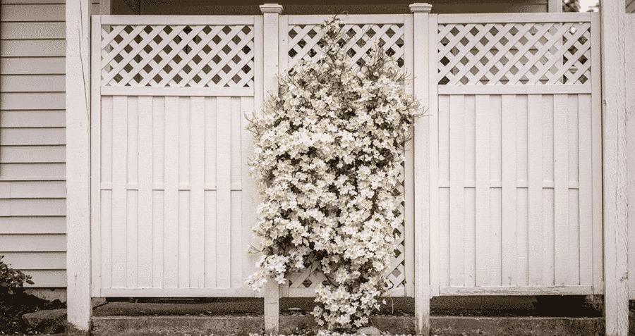 Fence in Garbage Cans