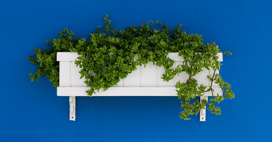 Flower Boxes