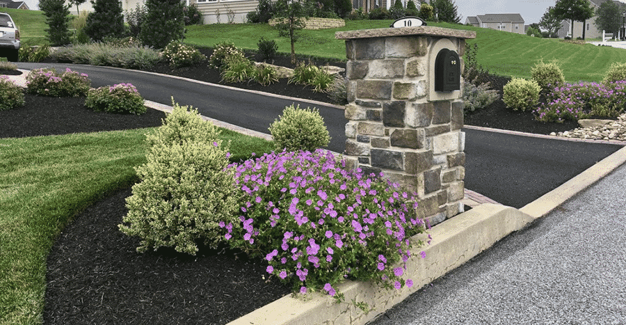 Landscape Around the Mailbox