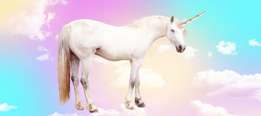 white unicorn  in colorful cloud background