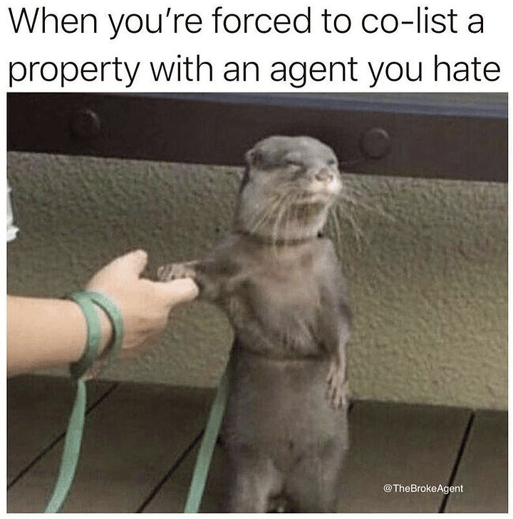 Real Estate meme