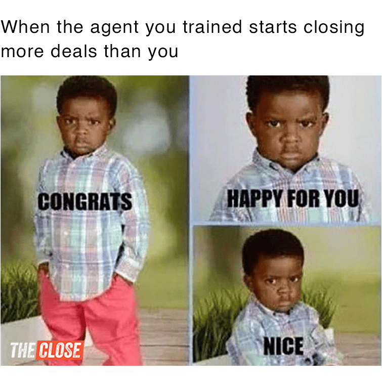 Real Estate meme